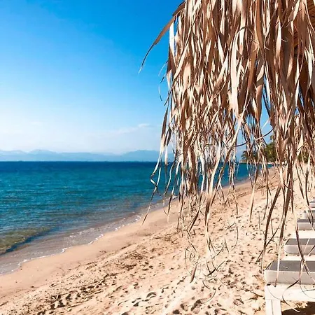 Olive Dream Thassos Luxury * Skala Rachoni (Thasos)