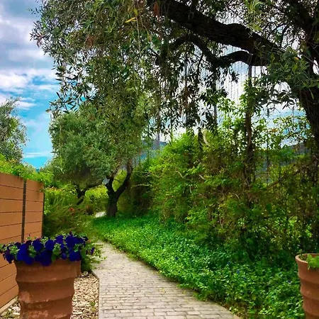 Villa Olive Dream Thassos Luxury