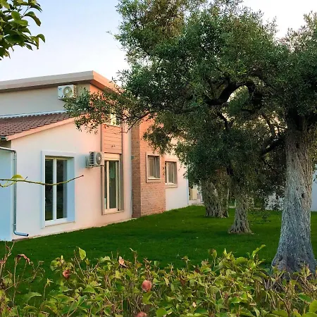 Olive Dream Thassos Luxury